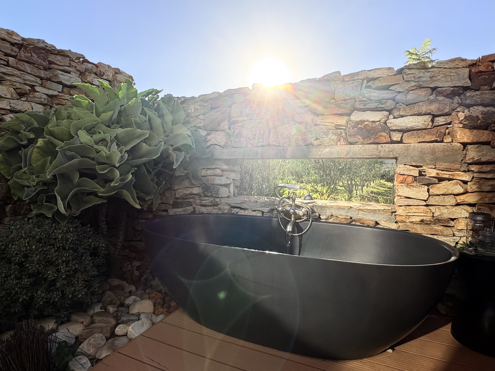 Fairy Flycatcher bath in sun